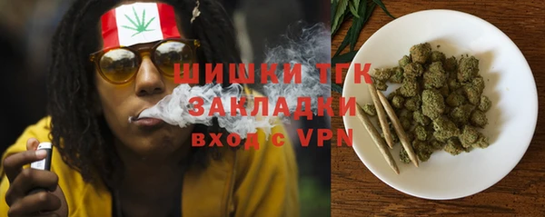 ГАЛЛЮЦИНОГЕННЫЕ ГРИБЫ Дедовск