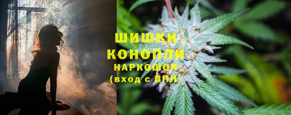 spice Дегтярск